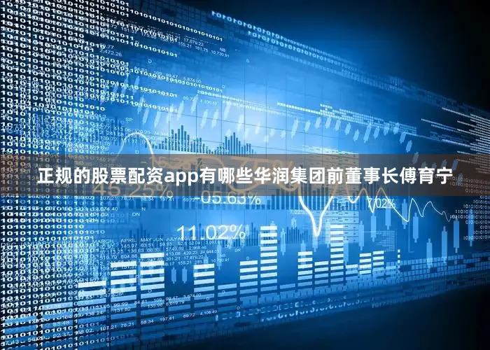 正规的股票配资app有哪些华润集团前董事长傅育宁