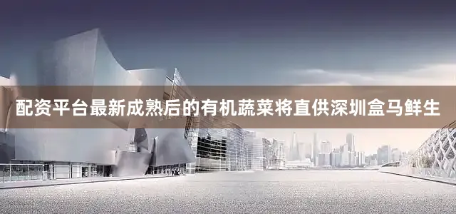 配资平台最新成熟后的有机蔬菜将直供深圳盒马鲜生