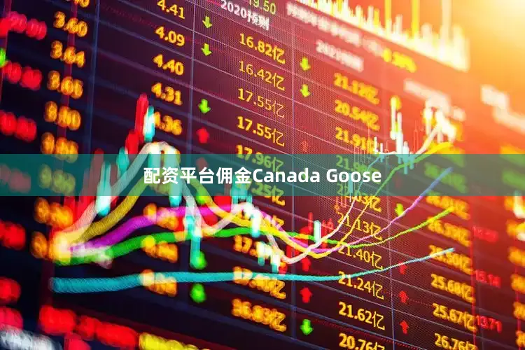 配资平台佣金Canada Goose