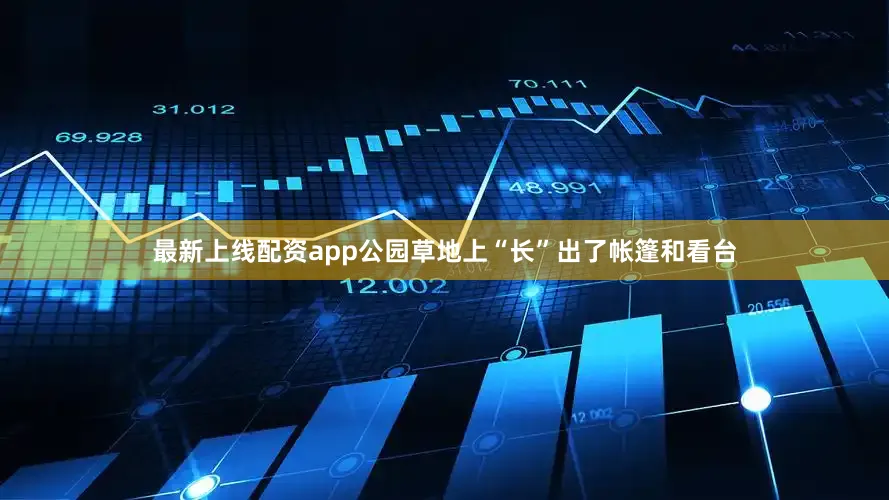 最新上线配资app公园草地上“长”出了帐篷和看台
