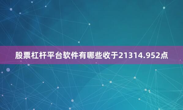 股票杠杆平台软件有哪些收于21314.952点