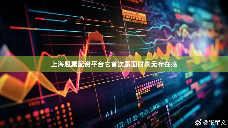 上海股票配资平台它首次露面时毫无存在感