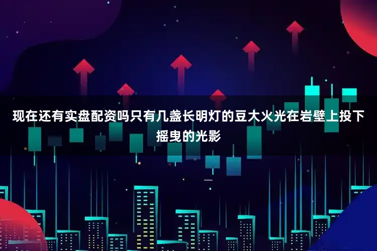 现在还有实盘配资吗只有几盏长明灯的豆大火光在岩壁上投下摇曳的光影